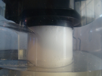 Aspiration pump started and foam became visible in collection neck.
